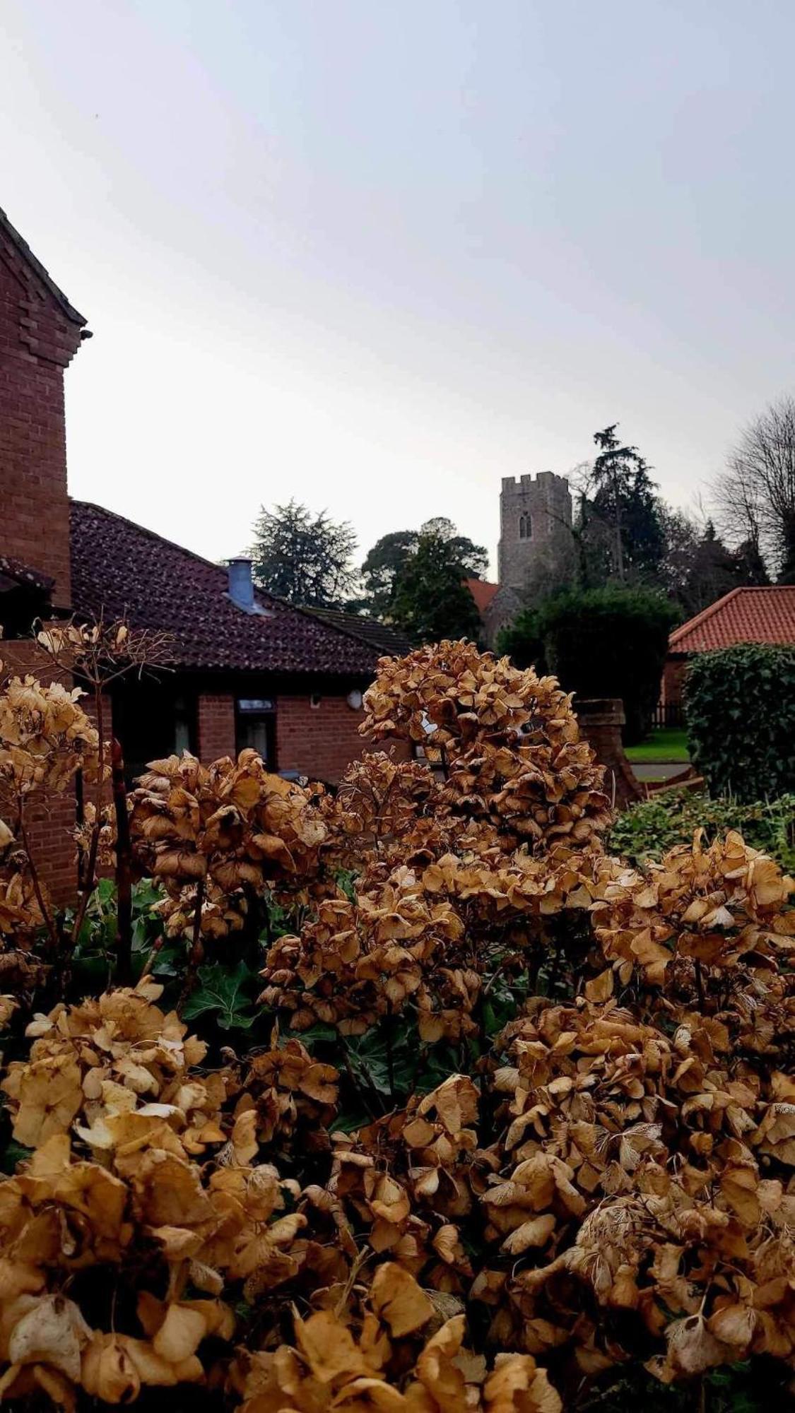 Church Farm Guest House Horsford Dış mekan fotoğraf